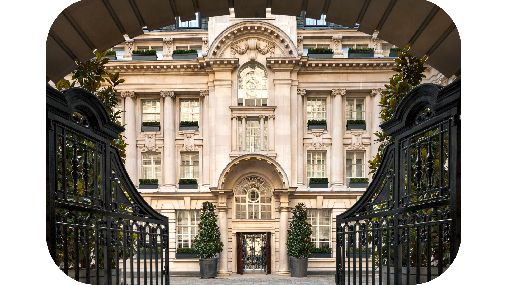 Couldn’t make it to SuiteWorld?